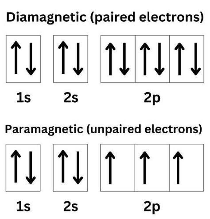 Do paramagnetic have unpaired electrons?
