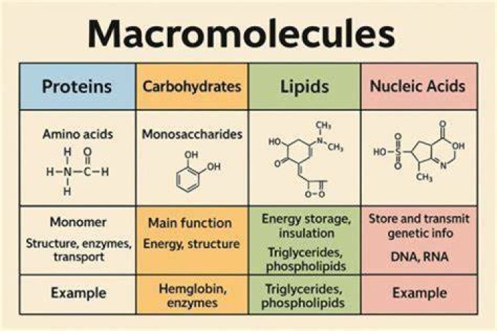 Does water have any macromolecules?