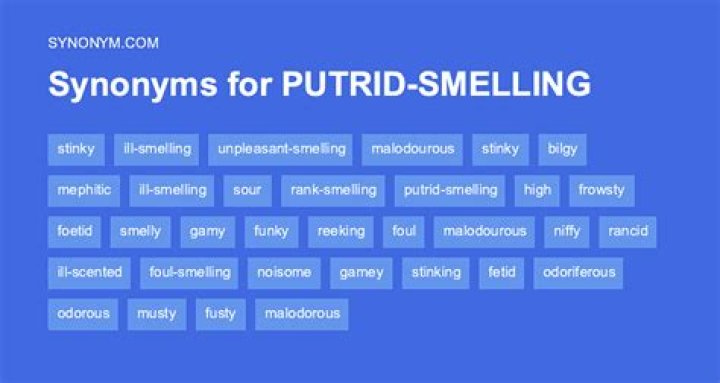 Is another word for putrid?