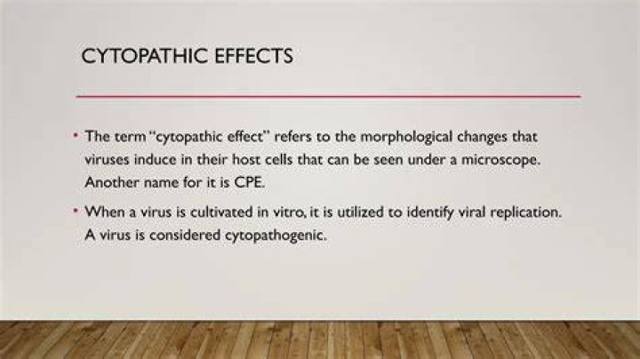 What is cytopathogenic effect?