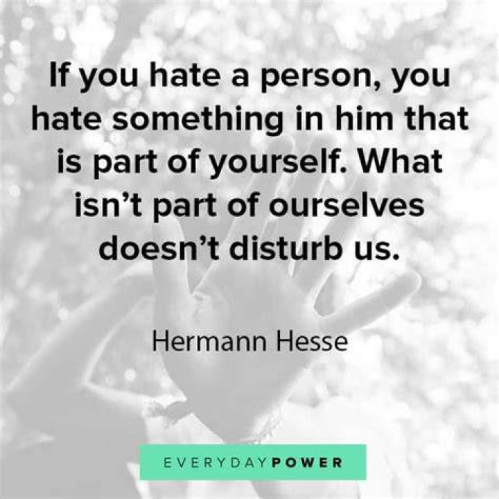 Whats does hate mean?